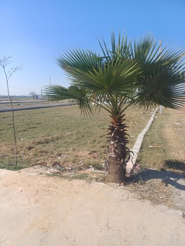  Land – Exterior View View at Jewar - for Sale