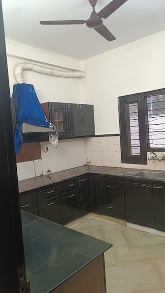 3 BHK Independent House For Rent in Sector 46 Noida  8149084