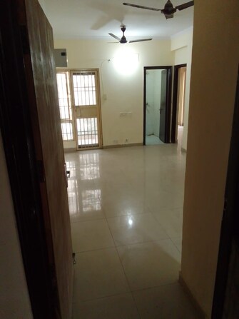 2 BHK Apartment For Rent in Panchsheel Hynish Sector 1 Greater Noida Greater Noida  8149279