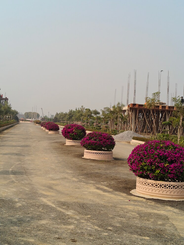 Garden, indira nagar 3 Bedroom 1655 Sq.Ft. Villa In Indira Nagar Lucknow 8149265