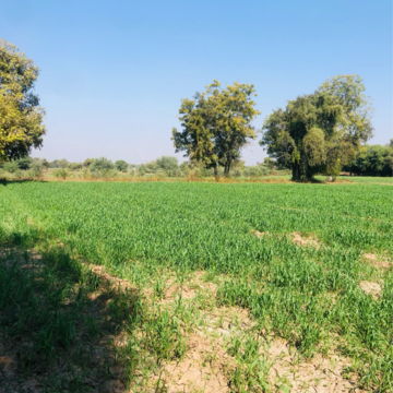  Land – Exterior View View at Ahmedabad Cantonment - for Sale