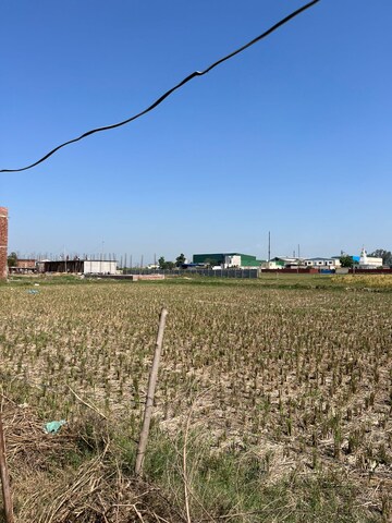 Plot Area in  Plot at Greater Mohali – for Sale