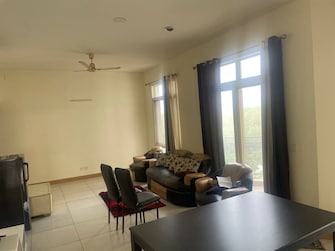 2 BHK Independent House For Rent in Beta Ii Greater Noida Greater Noida  8149595