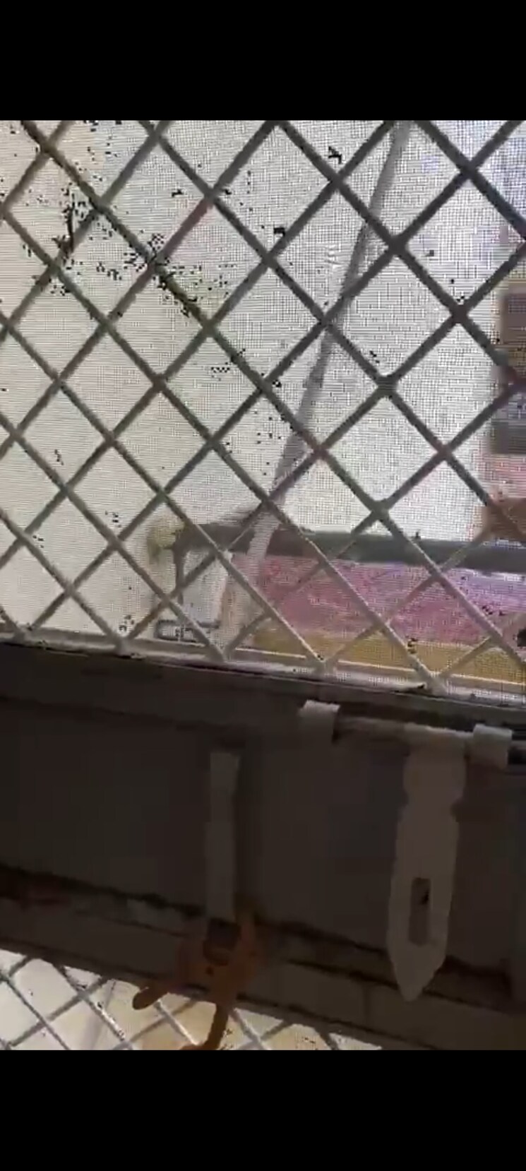 Exterior View, rwa-apartments-sector-39 6 Bedroom 250 Sq.Mt. Independent House In Sector 39 Noida 8149613