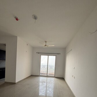 2 BHK Apartment For Rent in ACE Parkway Sector 150 Noida  8149634