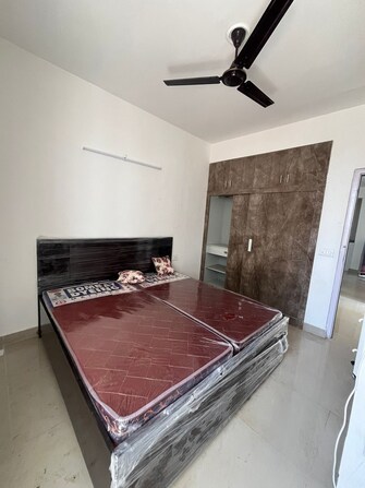 2 BHK Apartment For Rent in Suncity Avenue 76 Sector 76 Gurgaon  8149721