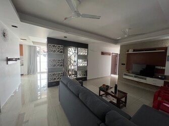 3 BHK Apartment For Rent in Aliens Space Station Tellapur Hyderabad  8149725