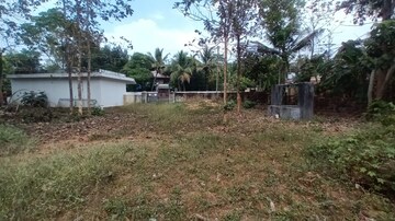 Commercial Land 8710 Sq.Ft. For Resale in Kizhakkambalam Kochi  8149917