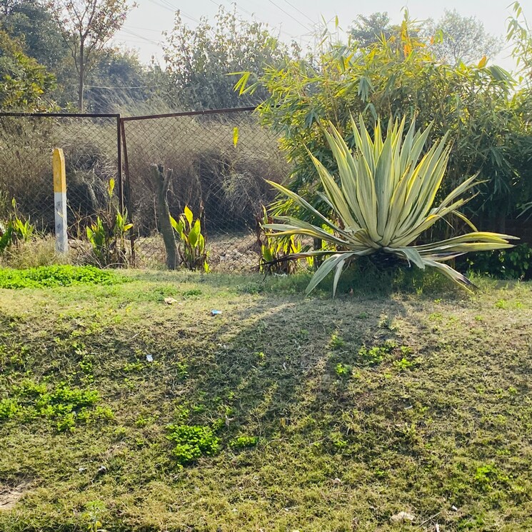 Garden, gosainganj  2000 Sq.Ft. Plot In Gosainganj Lucknow 8149957