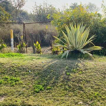  Plot – Garden View at Gosainganj - for Sale