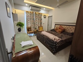 4 BHK Apartment For Rent in Sector 121 Mohali  8150078