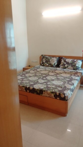 2 BHK Apartment For Rent in Triveni Vasant Vihar CHS Vasant Vihar Thane  8150155