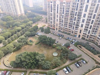 4 BHK Apartment For Rent in DLF New Town Heights I Sector 90 Gurgaon  8150314