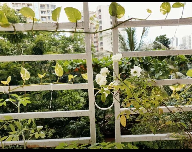 Master Plan, shree-ostwal-orchid 1 Bedroom 680 Sq.Ft. Apartment In Mira Road Thane 8150360