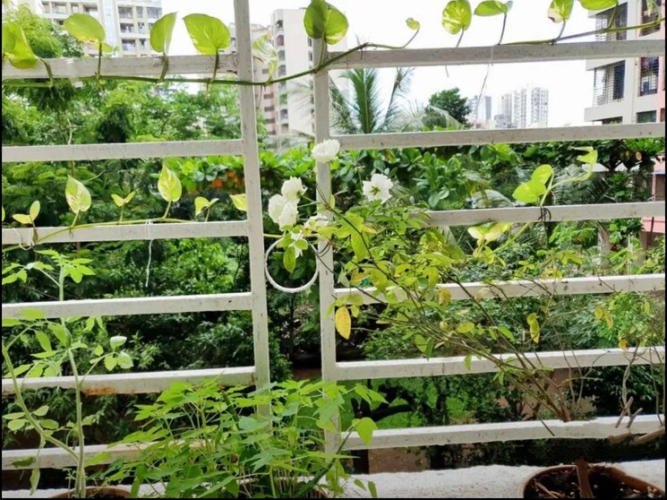 Balcony, shree-ostwal-orchid 1 Bedroom 680 Sq.Ft. Apartment In Mira Road Thane 8150360