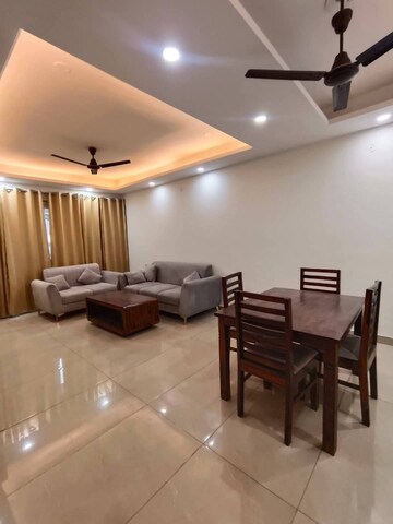 Living Room in 3 BHK Builder Floor at Sector 9 – for Rent