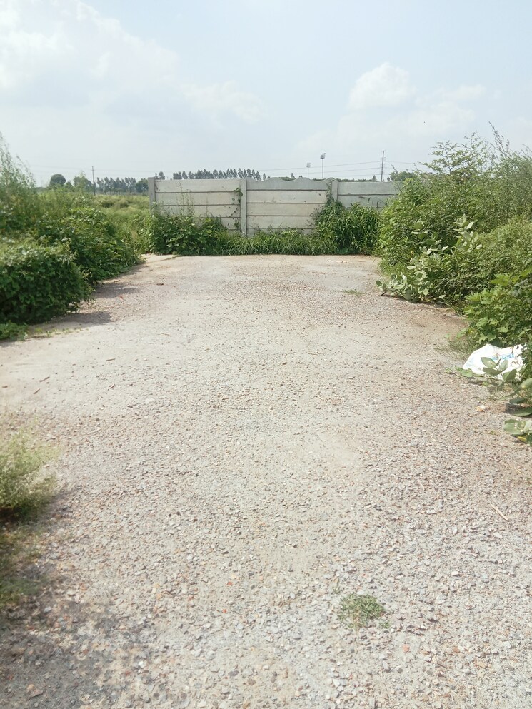 undefined, babaji-wave-homes  110 Sq.Yd. Plot In Knowledge Park Ii Greater Noida Greater Noida 8150559