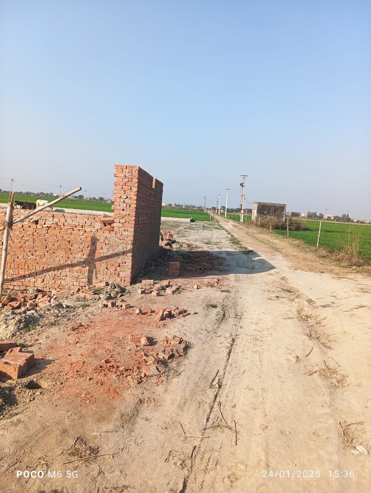 undefined, bhopani village  80 Sq.Yd. Plot In Bhopani Village Faridabad 8150601