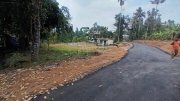 Plot Area in  Plot at Kizhakkambalam – for Sale