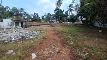 Plot For Resale in Kizhakkambalam Kochi  8150769