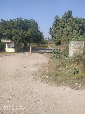 Plot For Resale in Vrindavan Enclave Siddharth Vihar Ghaziabad  8150800