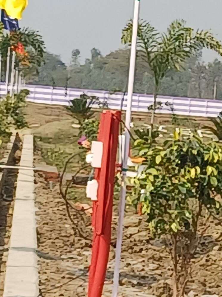 Exterior View, wazirganj  1250 Sq.Yd. Plot In Wazirganj Lucknow 8150853
