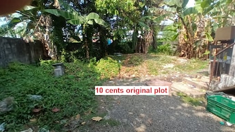 Plot For Resale in Kadavanthara Kochi  8150961