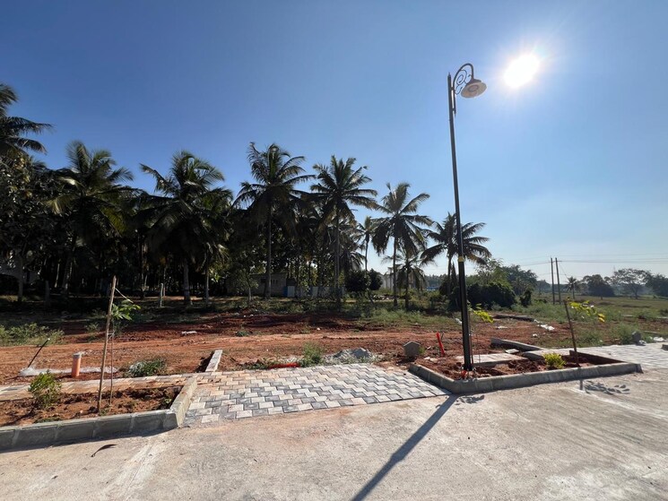 undefined, diamante-2-oakland-estates  1406 Sq.Yd. Plot In Devanahalli Bangalore 8151216