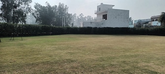 Plot For Resale in Sector 151 Faridabad  8151529