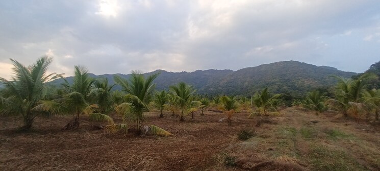 undefined, narsipatnam  322 Sq.Yd. Plot In Narsipatnam Vizag 8151589