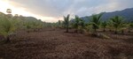 322 Sq.Yd. Plot in Himagiri Resort  Farm Plo