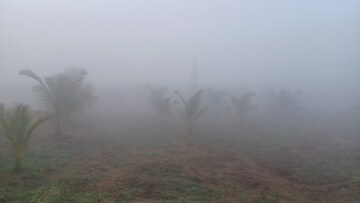 Plot Area in  Plot at Narsipatnam – for Sale