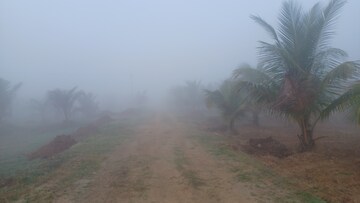 Plot Area in  Plot at Narsipatnam – for Sale