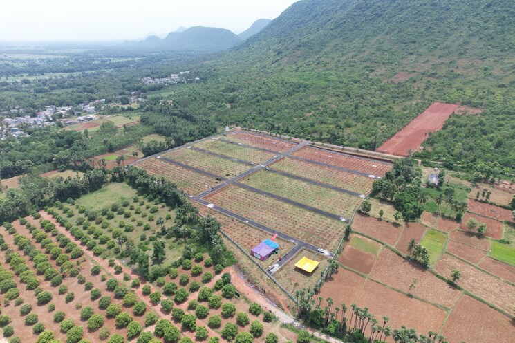 Exterior View, narsipatnam  322 Sq.Yd. Plot In Narsipatnam Vizag 8151599