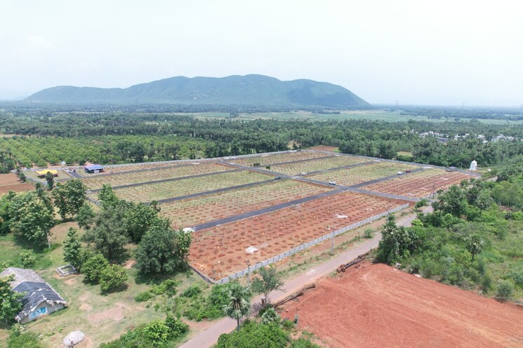 undefined, narsipatnam  322 Sq.Yd. Plot In Narsipatnam Vizag 8151599