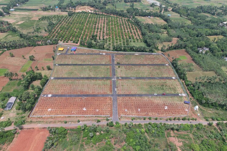 Exterior View, narsipatnam  322 Sq.Yd. Plot In Narsipatnam Vizag 8151599