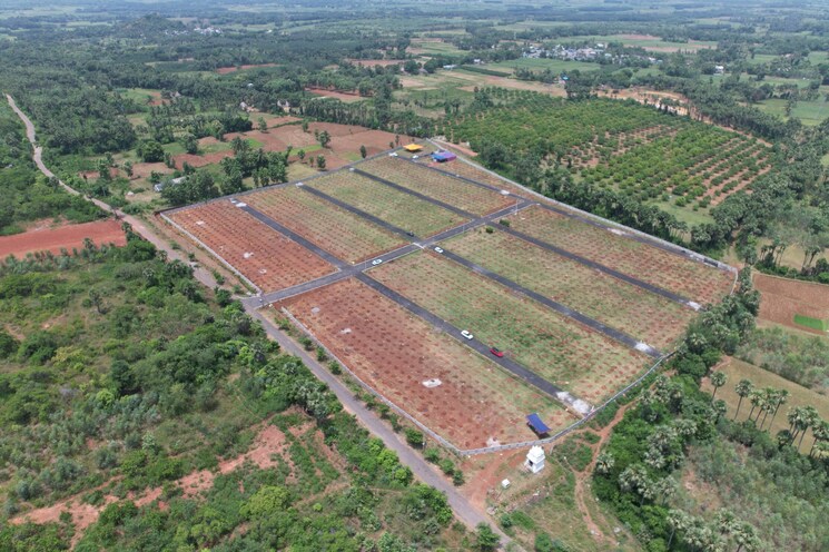 Garden, narsipatnam  322 Sq.Yd. Plot In Narsipatnam Vizag 8151599