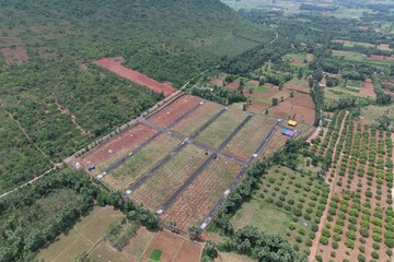  Plot – Exterior View View at Narsipatnam - for Sale