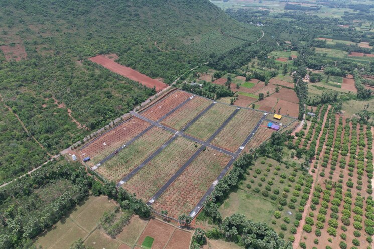 Exterior View, narsipatnam  322 Sq.Yd. Plot In Narsipatnam Vizag 8151599