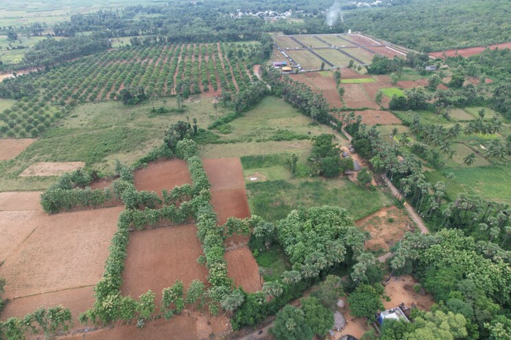 Exterior View, narsipatnam  322 Sq.Yd. Plot In Narsipatnam Vizag 8151599