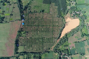  Plot – Exterior View View at Narsipatnam - for Sale