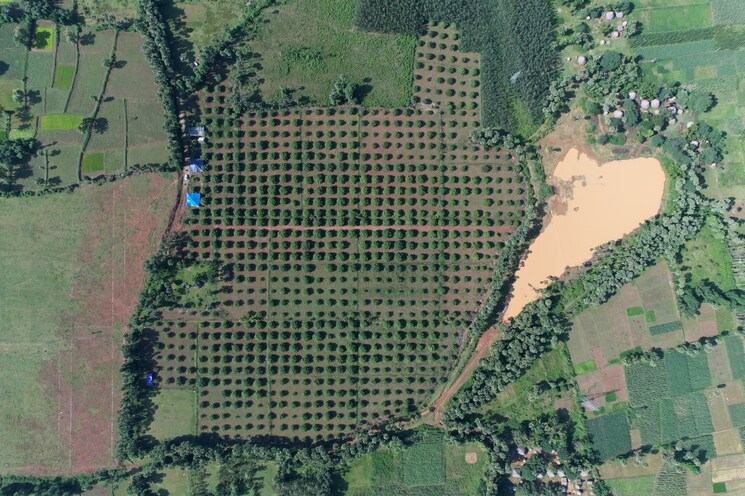 Exterior View, narsipatnam  322 Sq.Yd. Plot In Narsipatnam Vizag 8151599