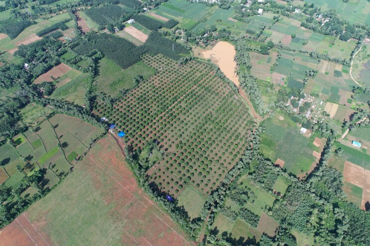 Exterior View, narsipatnam  322 Sq.Yd. Plot In Narsipatnam Vizag 8151599