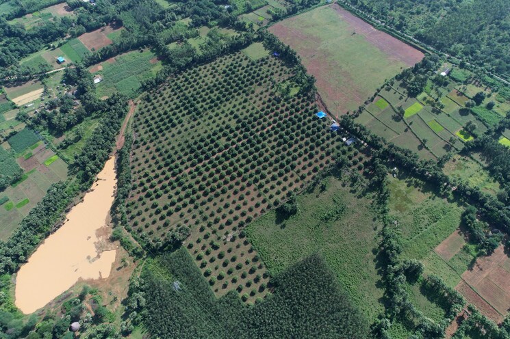 Exterior View, narsipatnam  322 Sq.Yd. Plot In Narsipatnam Vizag 8151599