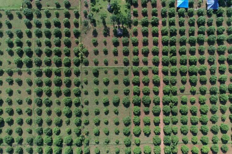 Exterior View, narsipatnam  322 Sq.Yd. Plot In Narsipatnam Vizag 8151599