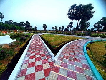  Plot – Exterior View View at Bhogapuram - for Sale