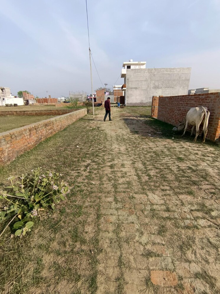 Exterior View, jankipuram extension  1000 Sq.Ft. Plot In Jankipuram Extension Lucknow 8151913