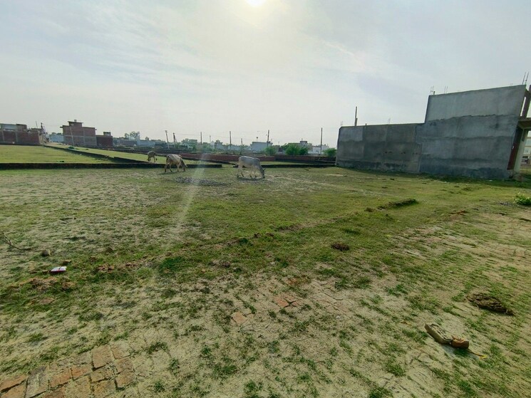 undefined, jankipuram extension  1000 Sq.Ft. Plot In Jankipuram Extension Lucknow 8151913