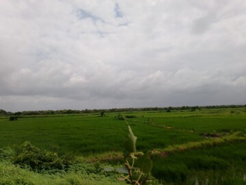 Plot Area in  Plot at Jui – for Sale