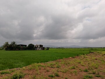 Plot Area in  Plot at Jui – for Sale
